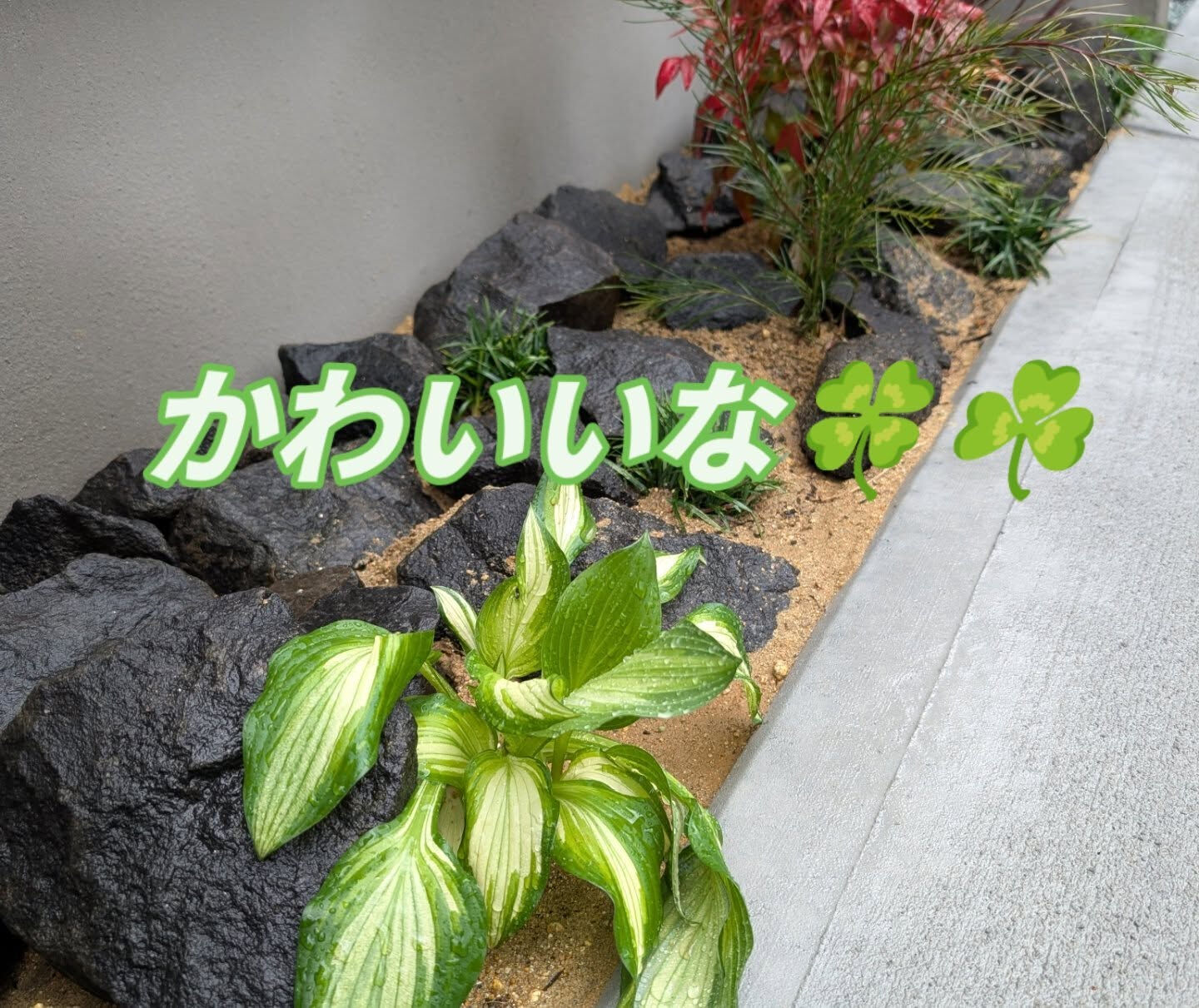 仙台外構屋　柳川です🖐️