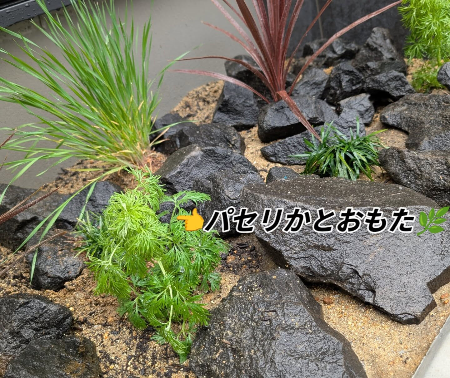 仙台外構屋　柳川です🖐️