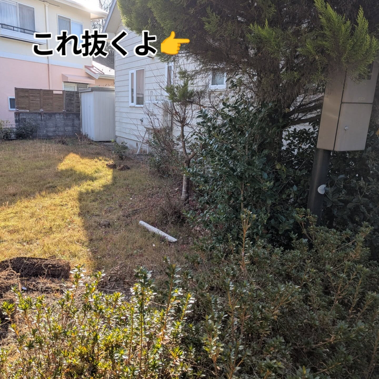 仙台外構柳川造園です🫵🫵