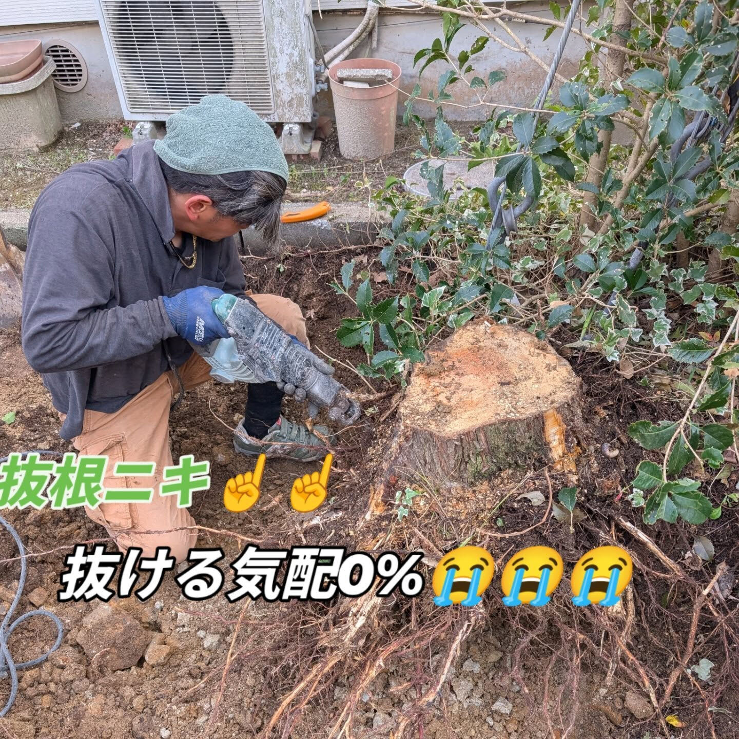 仙台外構柳川造園です🫵🫵