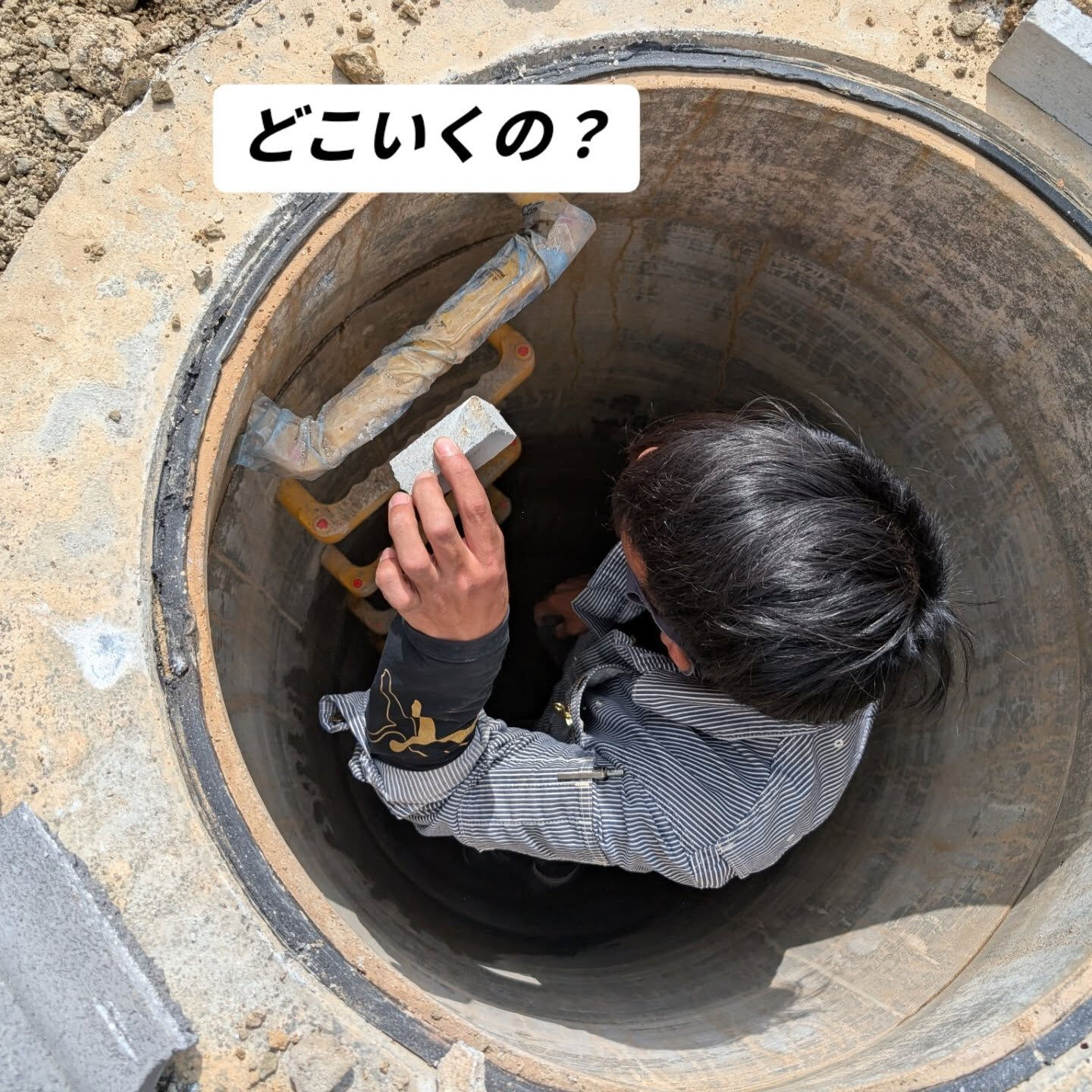 仙台外構柳川造園です🫡
